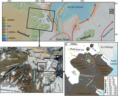 Episodic Atlantic Water Inflow Into the Independence Fjord System (Eastern North Greenland) During the Holocene and Last Glacial Period
